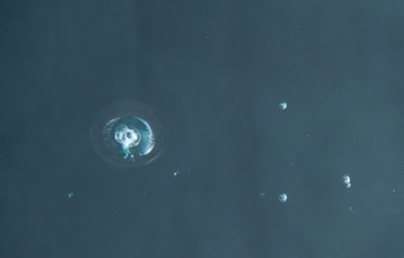 Close-up of a bullseye windshield chip before WindshieldHUB repair in Seattle, WASHINGTON-DC